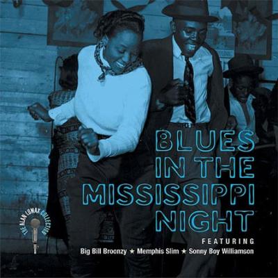 Blues in the Mississippi Night